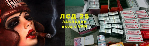 шишки Алексин