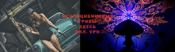 хмурый Алзамай