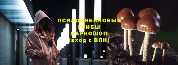 шишки Алексин