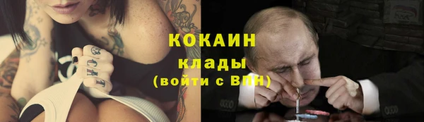 хмурый Алзамай