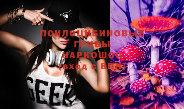 хмурый Алзамай