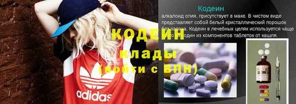 хмурый Алзамай